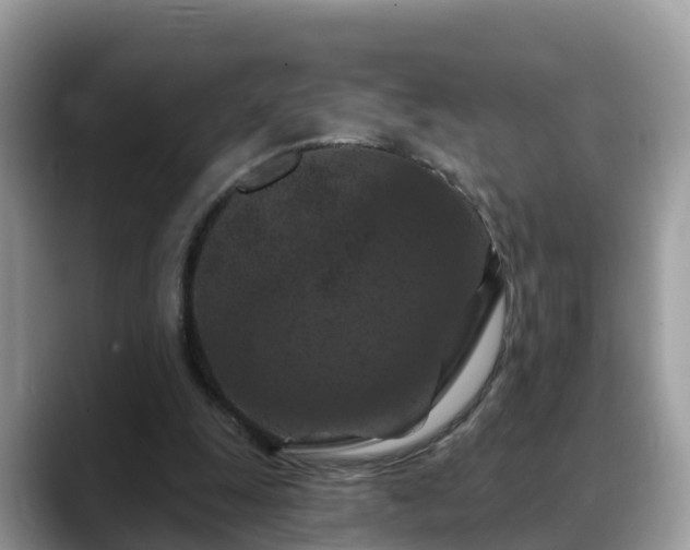 X0000088690247200706071525