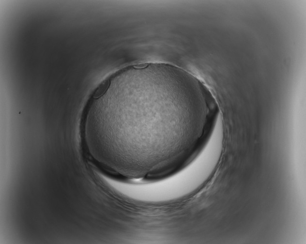 X0000088690248200706071525