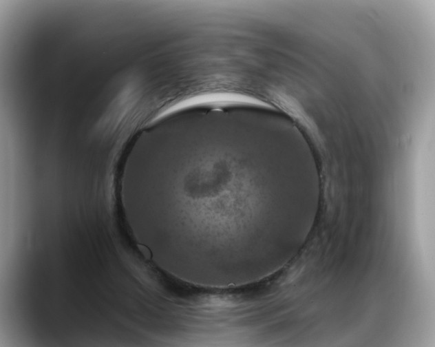 X0000088690250200706071525