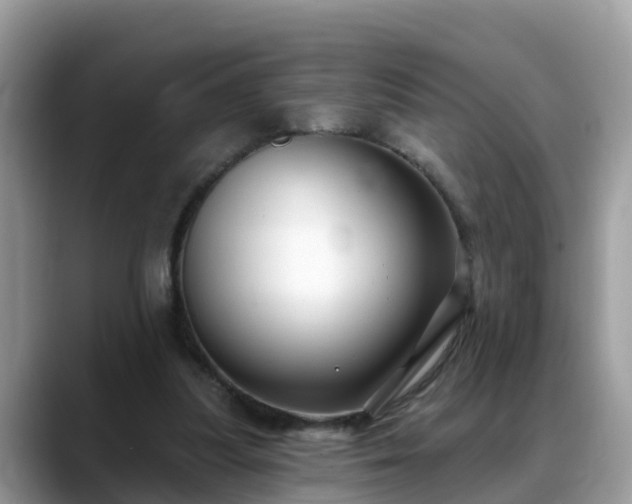 X0000088690251200706071525