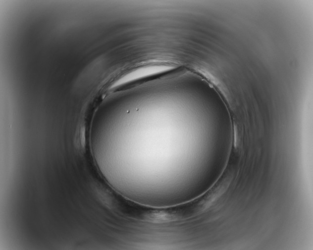 X0000088690253200706071525