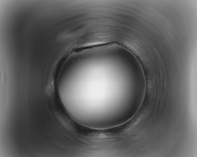 X0000088690254200706071525