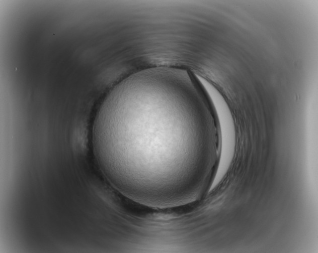 X0000088690255200706071525