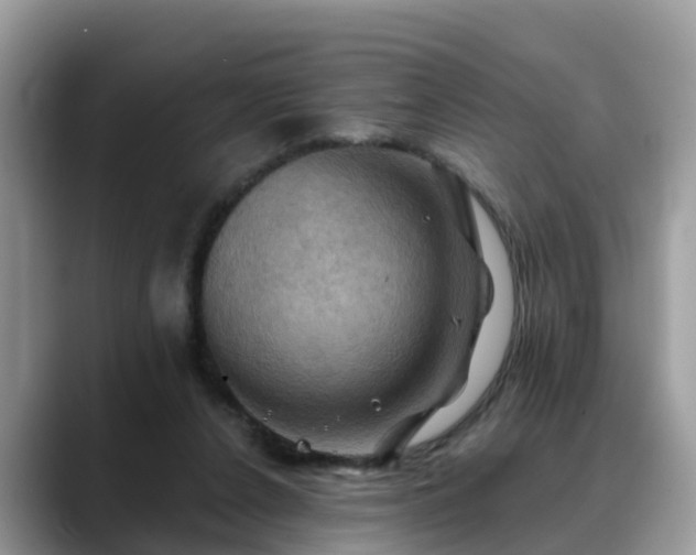 X0000088690256200706071525