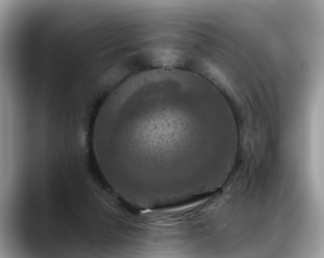 X0000088690258200706071525