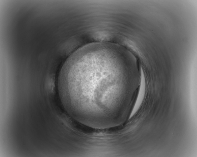 X0000088690259200706071525