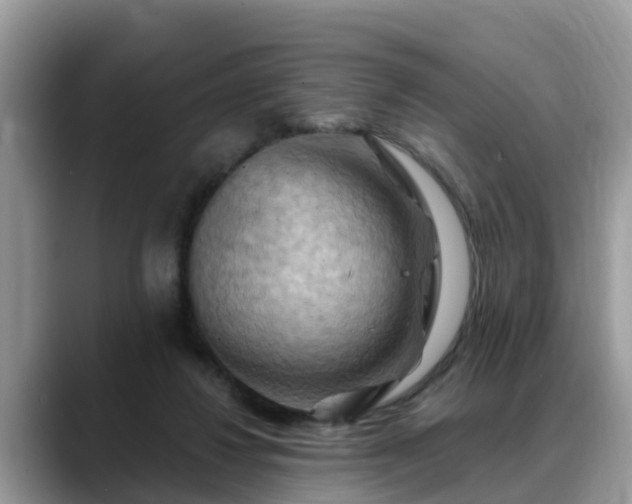 X0000088690260200706071525