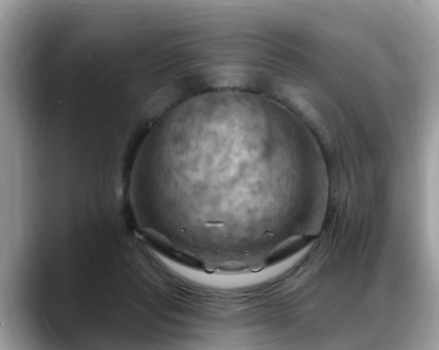 X0000088690261200706071525