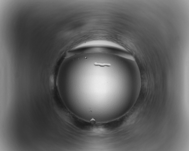 X0000088690262200706071525