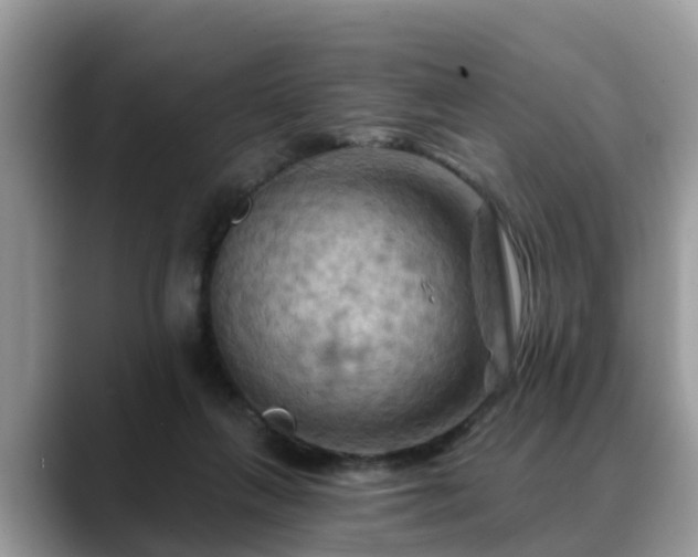 X0000088690263200706071525