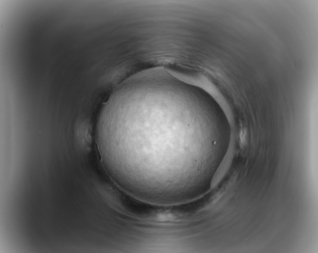 X0000088690264200706071525