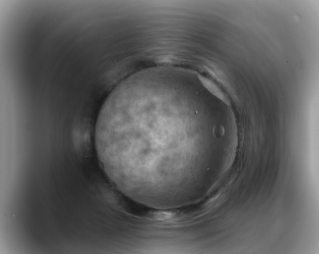 X0000088690265200706071525