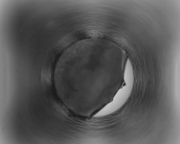 X0000088690266200706071525