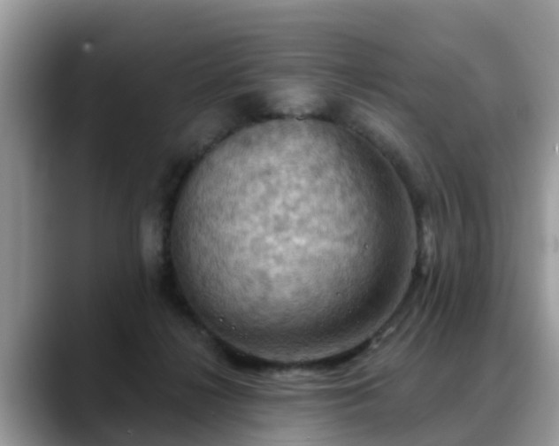 X0000088690268200706071525