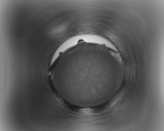 X0000088690269200706071525