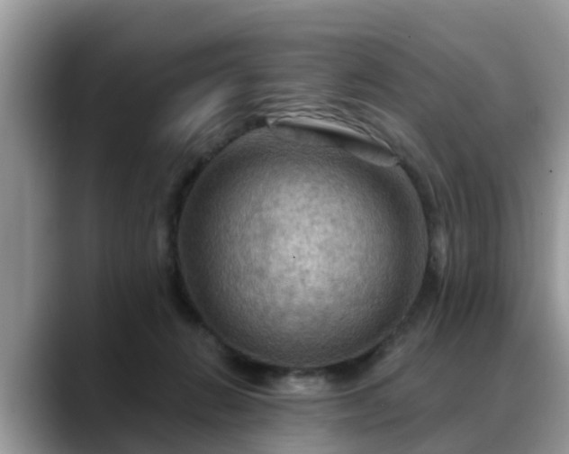 X0000088690270200706071526
