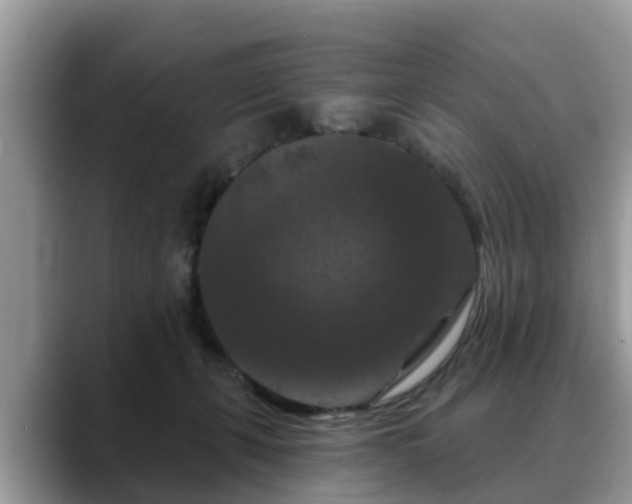 X0000088690271200706071526