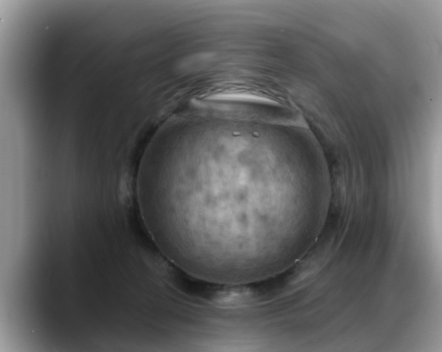 X0000088690274200706071526