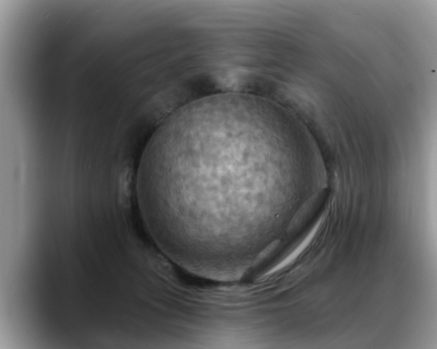 X0000088690275200706071526