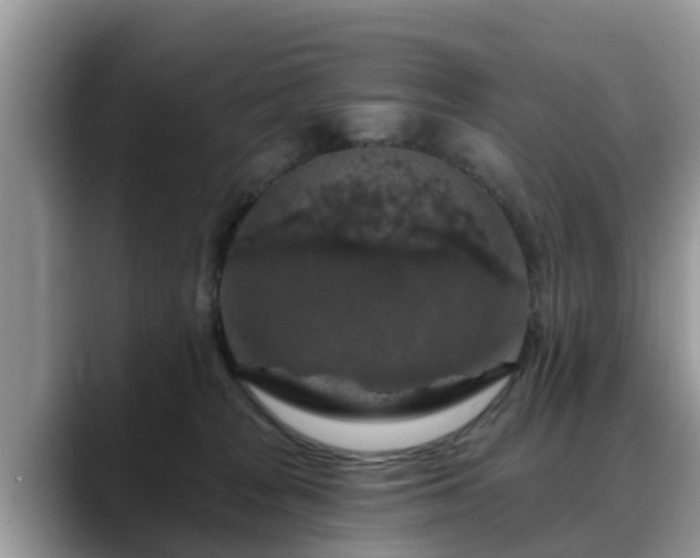 X0000088690277200706071526