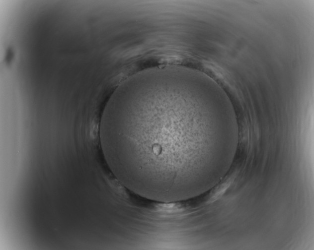 X0000088690281200706071526