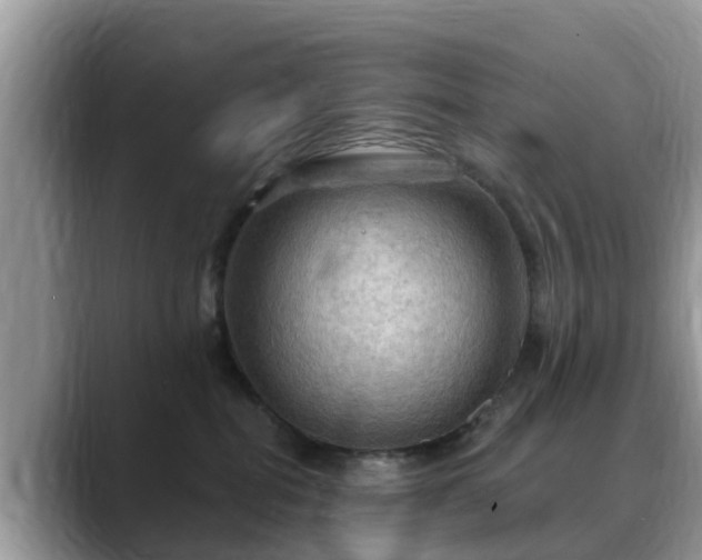X0000088690282200706071526