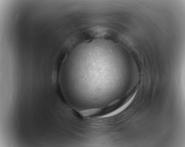 X0000088690283200706071526