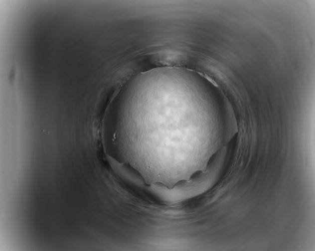 X0000088690284200706071526
