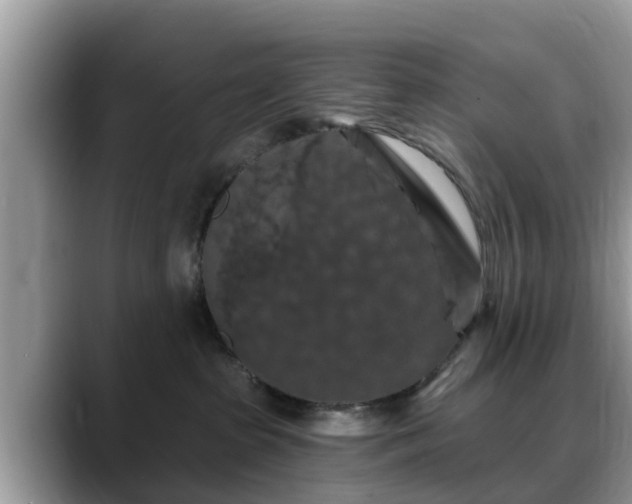 X0000088690285200706071526