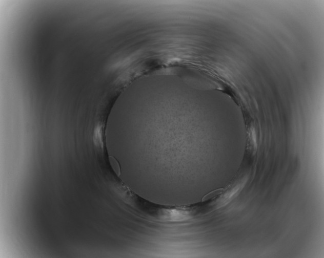 X0000088690286200706071526