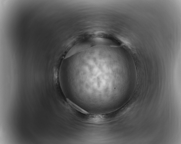 X0000088690288200706071526