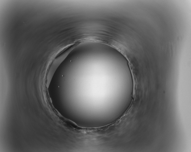 X0000088690289200706071525