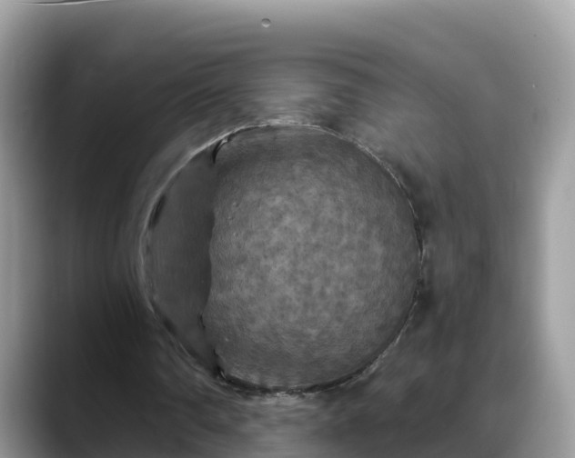 X0000088690290200706071525