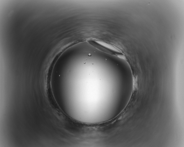 X0000088690291200706071525