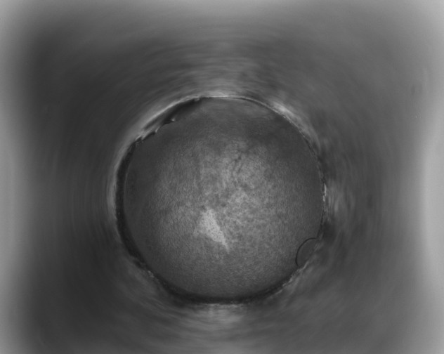 X0000088690292200706071525