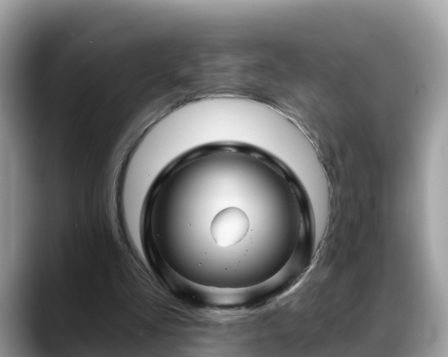 X0000088690293200706071525