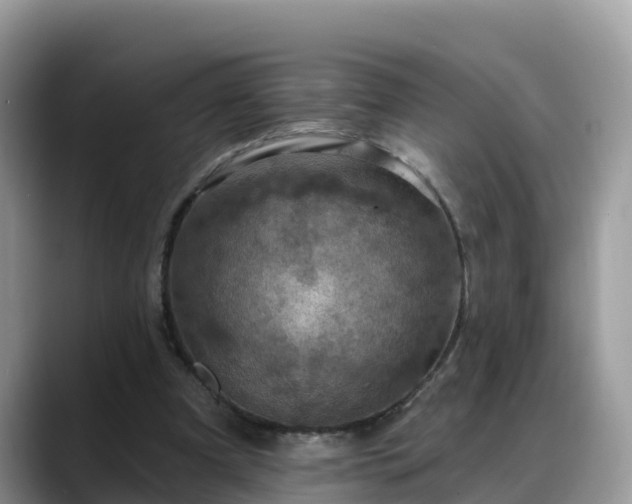 X0000088690297200706071525
