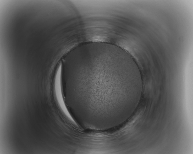 X0000088690299200706071525