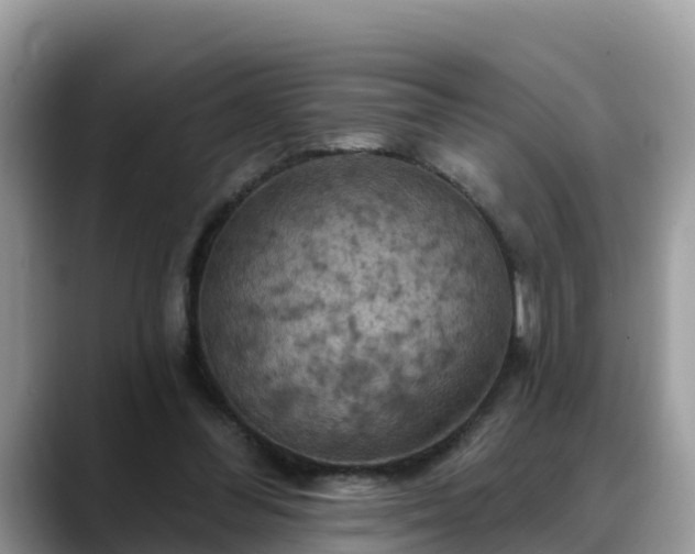 X0000088690300200706071525