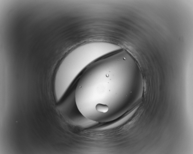 X0000088690301200706071525