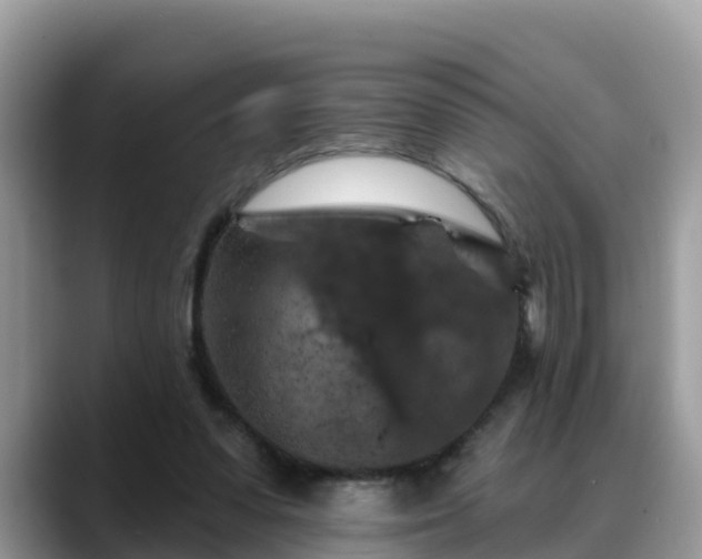 X0000088690303200706071525