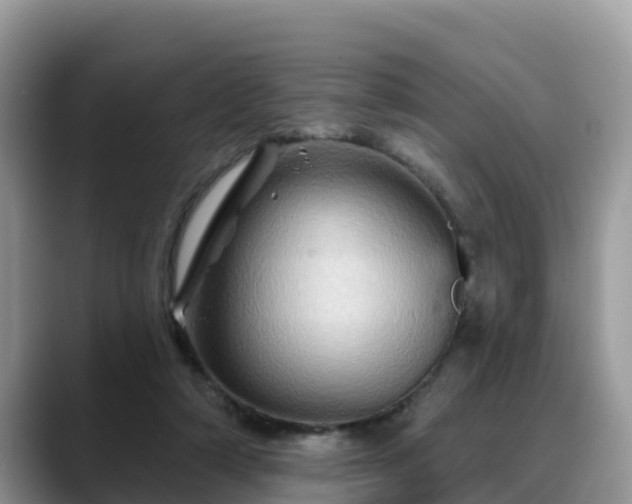 X0000088690306200706071525