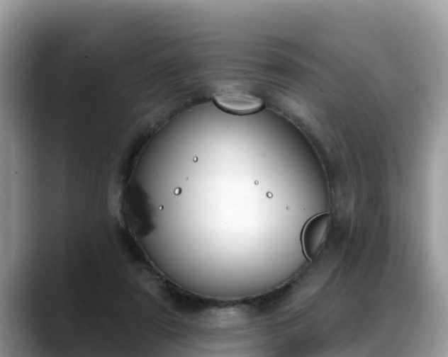 X0000088690307200706071525