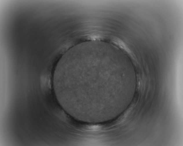 X0000088690313200706071525