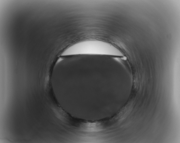 X0000088690314200706071525