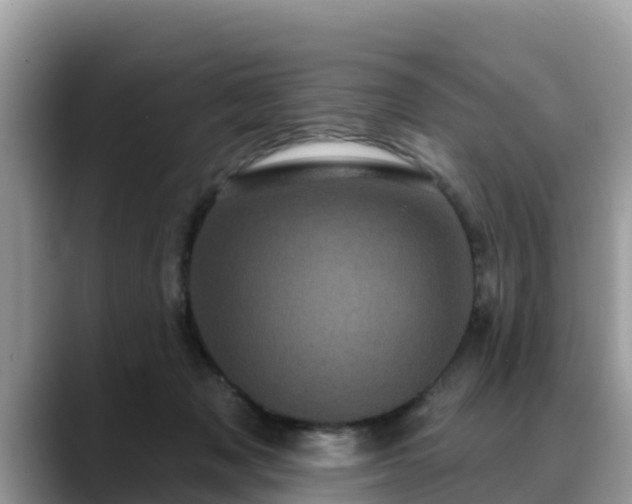 X0000088690317200706071525