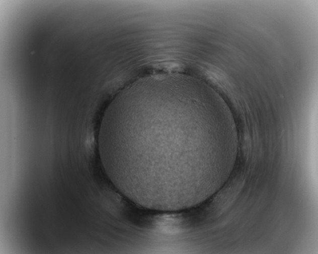 X0000088690320200706071525
