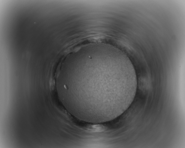 X0000088690324200706071525