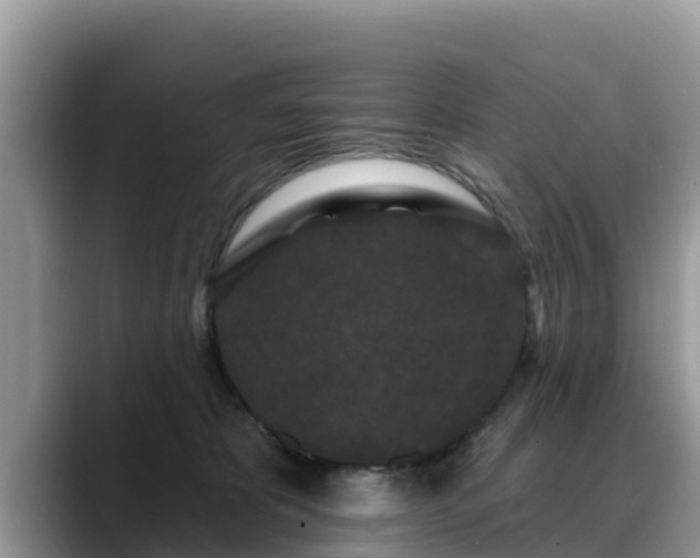 X0000088690325200706071525