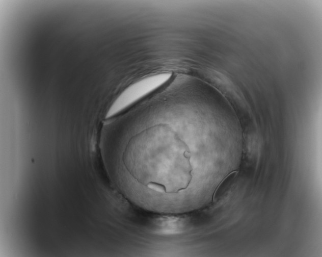 X0000088690326200706071525